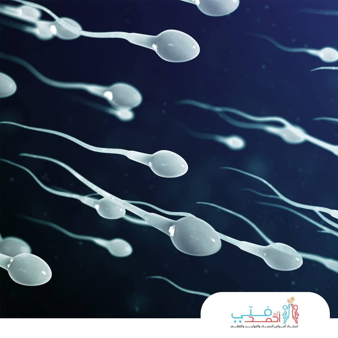 fb img 1759145051097.jpg